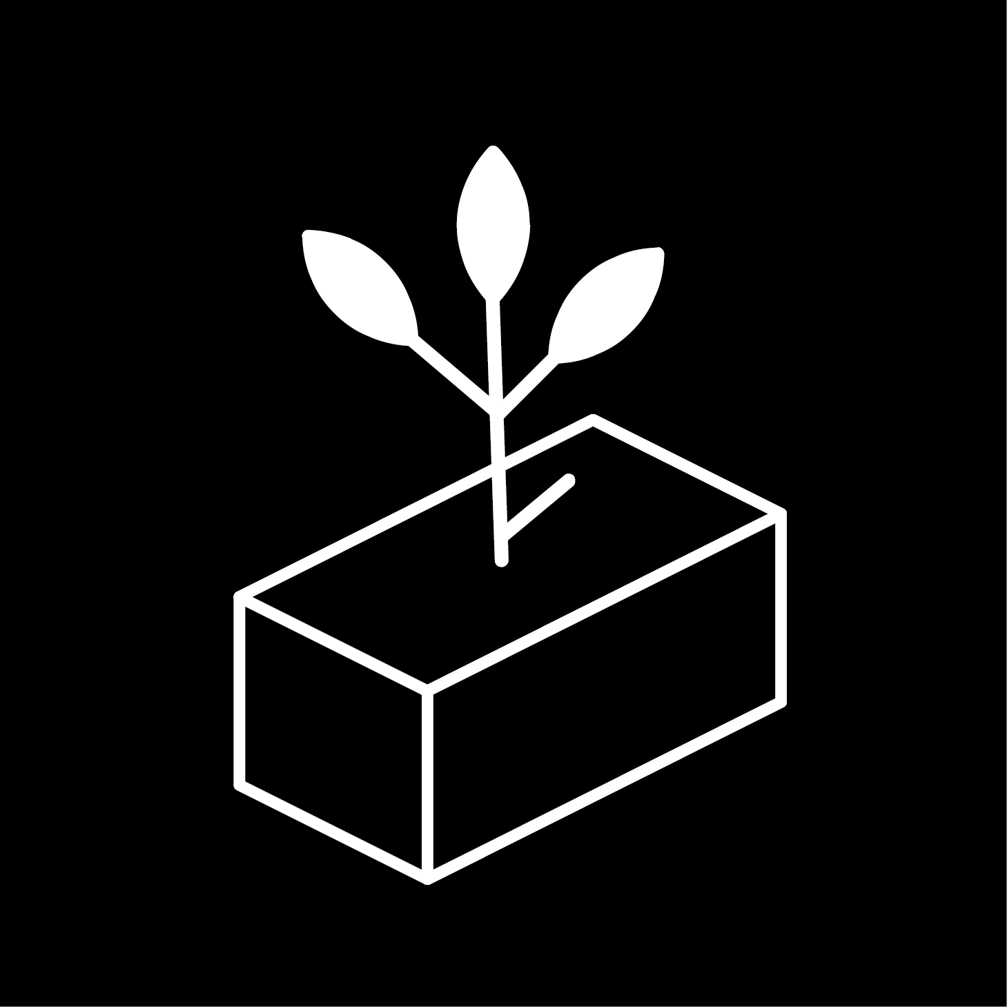 Kalksandstein Fakten Teil 1